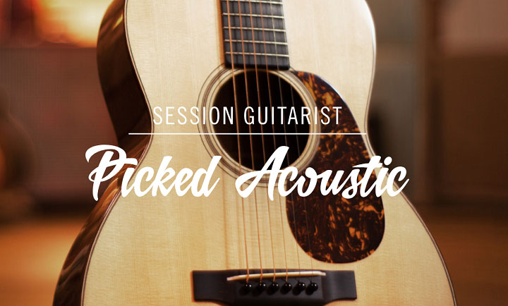 Native Instruments SESSION GUITARIST PICKED ACOUSTIC