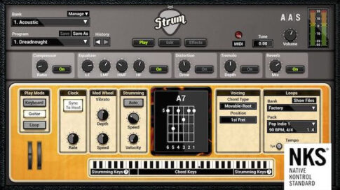 Applied Acoustics Systems社のアコースティック・エレキギター音源「Strum GS-2」