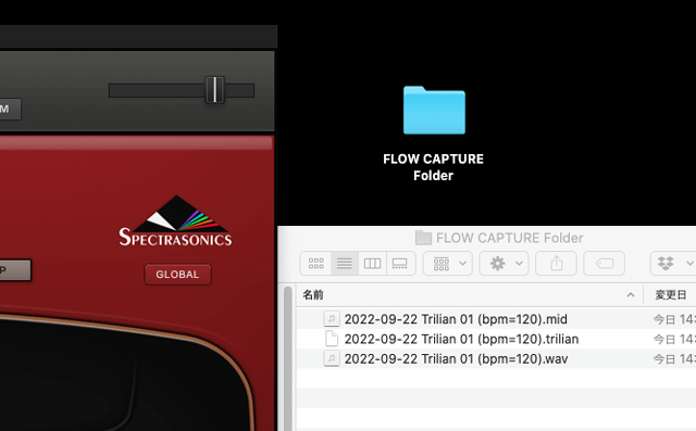 Trilian Flowcapture Folder