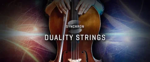 SYNCHRON DUALITY STRINGS