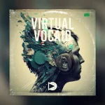 Virtual Vocaid イメージ