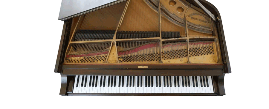 8DIO「1928 Steinway Piano」