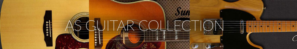AS-Guitar-Collection
