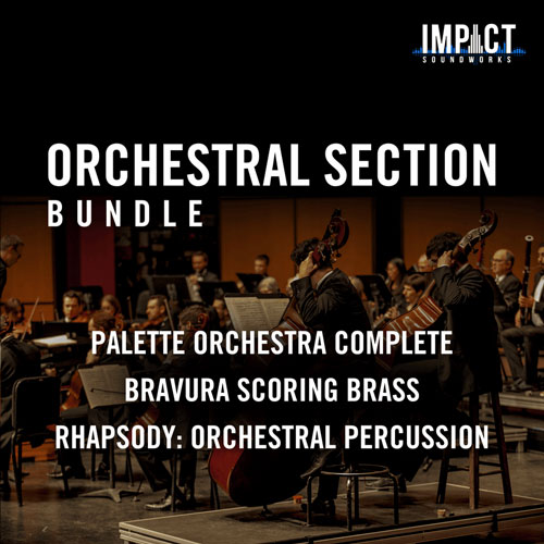 ORCHESTRAL SECTION BUNDLE