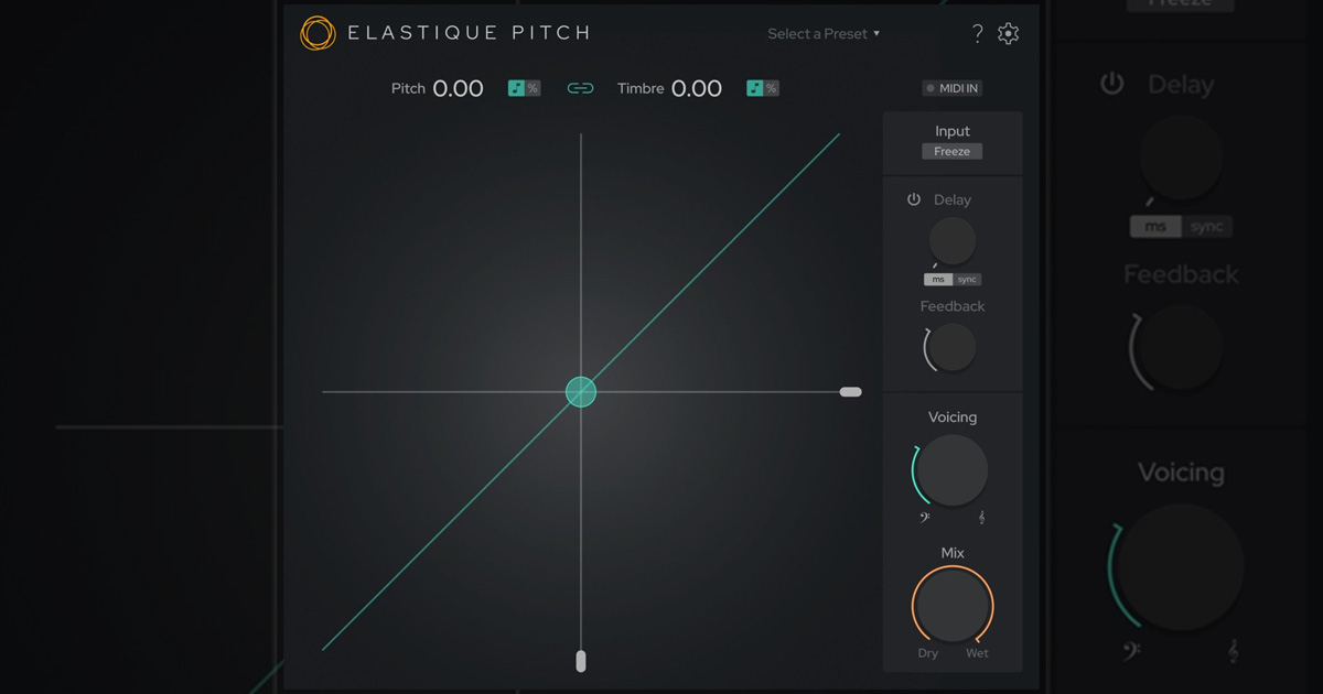 ElastiquePitch