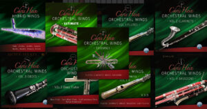 CHRIS-HEIN-WINDS_ULTIMATE