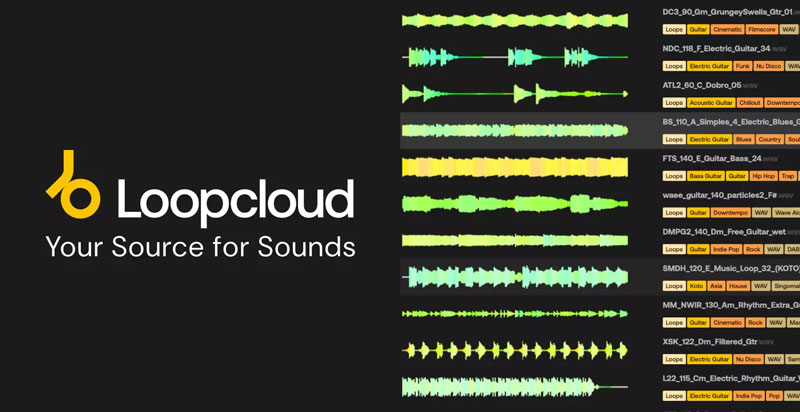 Loopcloud_1-Month-Artist-Plan