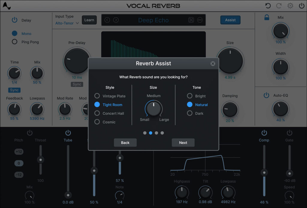 Vocal Reverb